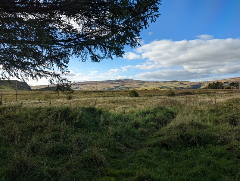 Thumbnail of photo from this article